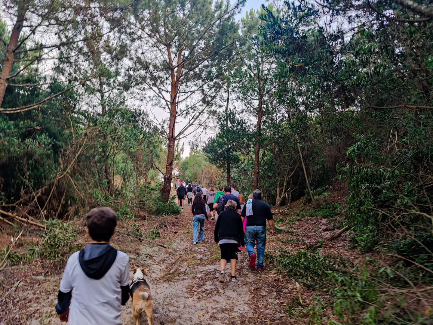 Caminhar Ao Luar Cidade Europeia Do Desporto